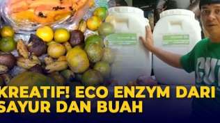 eco-enzyme-dari-sisa-buah-cairan-untuk-pembersih-lingkungan
