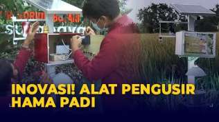 kreatif-mahasiswa-universitas-muhammadiyah-surabaya-ciptakan-alat-pengusir-hama-padi