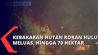 70-hektar-hutan-rokan-hulu-terbakar-akses-dan-cuaca-panas-ekstrem-pemicu-sulitnya-pemadaman-api
