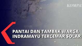 pantai-hingga-tambak-tercemar-solar-petambak-di-indramayu-tunggu-pt-pertamina-itb-beri-solusi