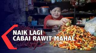 harga-cabai-rawit-tambah-pedas-75-ribu-rupiah-per-kilogram