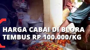harga-cabai-di-blora-tembus-rp-100-000-per-kilogram