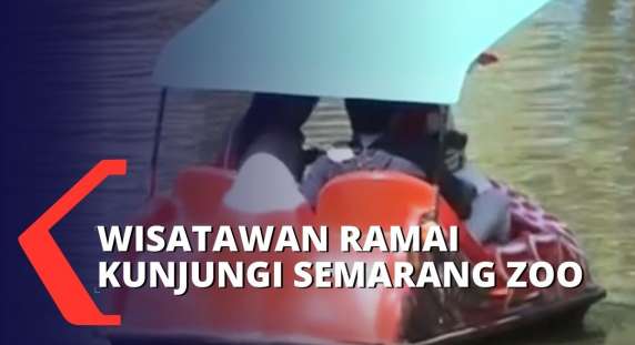 Libur Idul Adha, Wisatawan Ramai Kunjungi Semarang Zoo