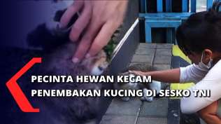 Berita dan Video Sesko Terkini Hari Ini - Kompas.tv