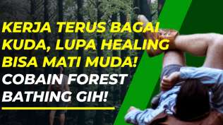 forest-bathing-alternatif-healing-untuk-usir-stres-karena-sibuk-kerja