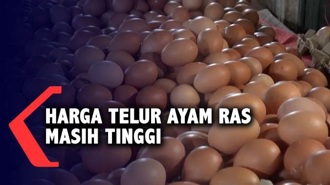 Harga Telur Ayam Ras Masih Tinggi