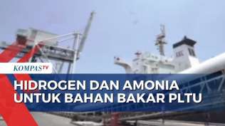 pln-gandeng-perusahaan-korsel-kembangkan-cofiring-pemanfaatan-hidrogen-dan-amonia-untuk-pltu