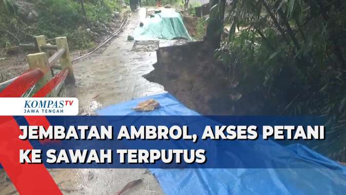 Jembatan Ambrol, Akses Petani ke Sawah Terputus