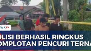 1674404470736.a 316 177