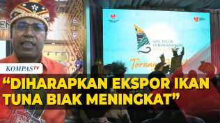 kegiatan-sail-teluk-cenderawasih-diharapkan-tingkatkan-ekspor-ikan-tuna-biak