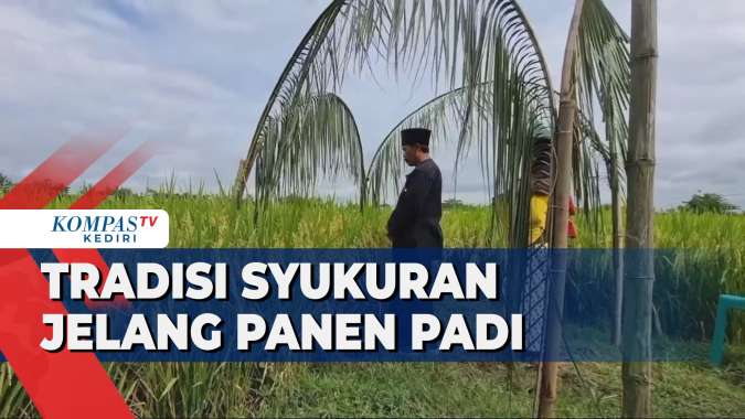 Petani dan perwakilan pemerintah daerah dalam acara Methil Padi