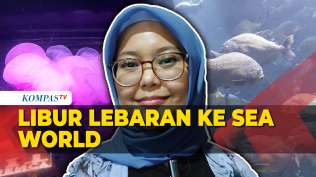 sea-world-ancol-jadi-pilihan-warga-libur-lebaran-di-jakarta-vlog