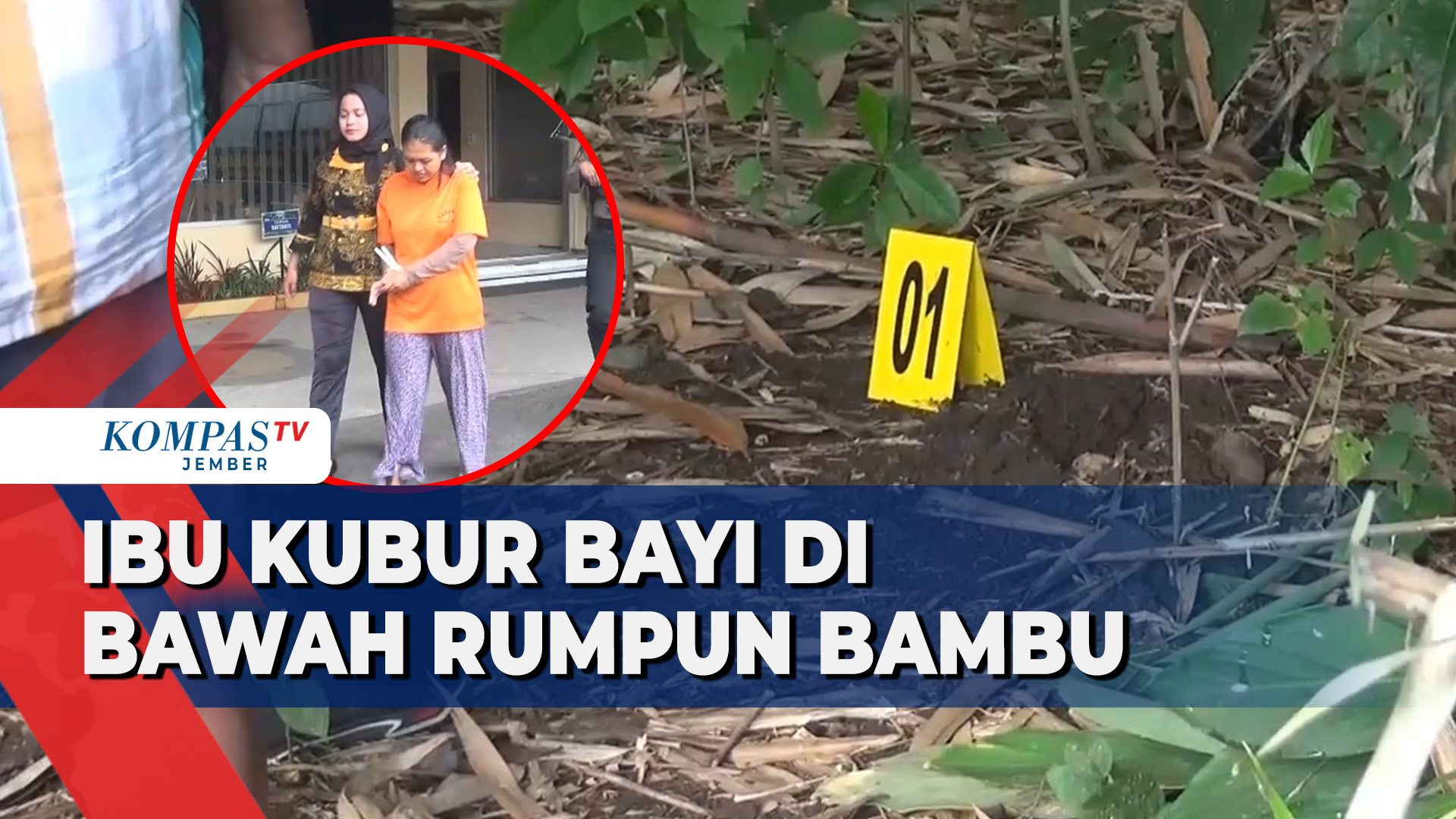 Ibu Buang dan Kubur Bayi Baru Lahir di Bawah Rumpun Bambu