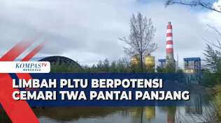 limbah-pltu-berpotensi-cemari-twa-pantai-panjang
