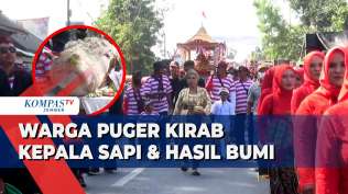 tradisi-kirab-kepala-sapi-dan-hasil-bumi-warga-puger-jember