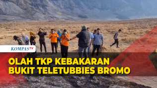 cari-fakta-baru-polisi-olah-tkp-ulang-kebakaran-akibat-prewedding-di-bromo