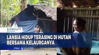 Lansia Hidup Terasing Di Hutan Bersama Kelaurganya