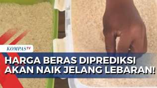 update-harga-beras-semua-jenis-turun-rp-500-per-kg-diprediksi-masih-akan-naik-jelang-lebaran