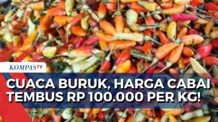 gagal-panen-akibat-cuaca-buruk-harga-cabai-meroket