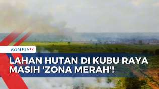 zona-merah-puluhan-titik-api-kebakaran-lahan-hutan-di-kubu-raya-masih-belum-padam