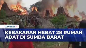 Ngeri! Kebakaran Di Sumba Barat, 28 Rumah Adat Hangus Dilalap Si Jago Merah | BERUT