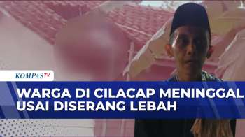 Diserang Lebah Saat Bersihkan Toren, Warga Cilacap Meninggal Dunia | KOMPAS MALAM