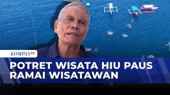 Libur Lebaran, Wisata Hiu Paus Botubarani Gorontalo Dipadati Pengunjung | KOMPAS SIANG