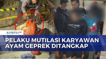 Polisi Tangkap Pelaku Mutilasi Karyawan Ayam Geprek di Bekasi | BERUT