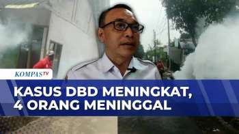 Kasus DBD di Garut Melonjak, 4 Orang Meninggal Dunia | SAPA SIANG