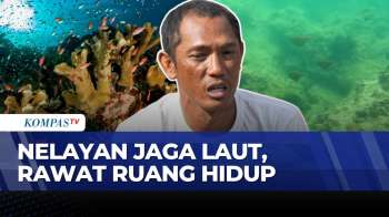 Sustenesia: Nelayan Rawat Laut, Jaga Ruang Hidup, Kisah Upaya Melestarikan Laut Indonesia