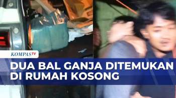 Kurir Ganja Dikejar Petugas, Kabur Hingga Masuk Rumah Kosong Di Mandailing Natal | BORGOL
