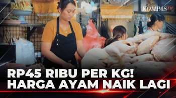 Makin Mahal! Harga Ayam Tembus Rp45 Ribu, Omzet Pedagang Turun Hingga 50 Persen | KOMPAS SIANG