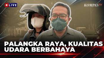 LIVE! Situasi Terkini Palangka Raya Diselimuti Kabut Asap, Kualitas Udara Berbahaya | KOMPAS SIANG
