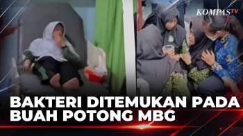 Bakteri Ditemukan pada Buah Potong MBG di Sorong, Siswa dan Guru Keracunan | BERUT