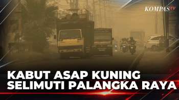 Kabut Asap Kuning Selimuti Palangka Raya, Jarak Pandang Hanya 100 Meter | BERUT