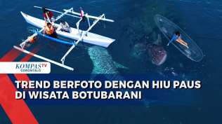 menikmati-keseruan-bersama-hiu-paus-di-lokasi-wisata-botubarani-gorontalo