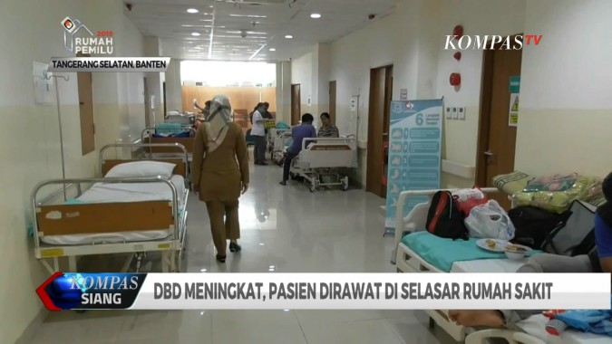 Dbd Meningkat Pasien Dirawat Di Selasar Rumah Sakit