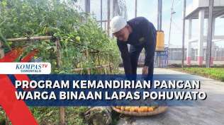 dukung-program-asta-cita-lapas-pohuwato-sukses-kembangkan-kemandirian-pangan-untuk-warga-binaan