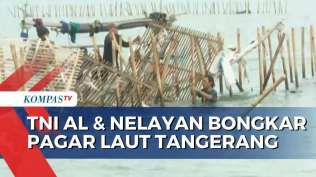 pembongkaran-pagar-laut-di-tangerang-libatkan-300-anggota-tni-al-dan-600-nelayan