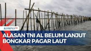 alasan-tni-al-belum-lanjutkan-bongkar-pagar-laut-misterius-di-tangerang