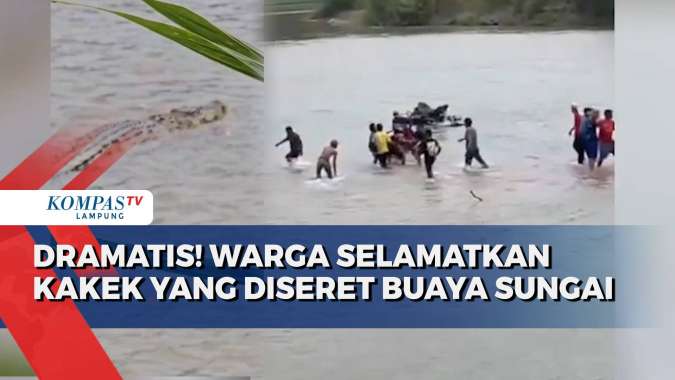 Dramatis! Warga Selamatkan Kakek yang Diseret Buaya Sungai