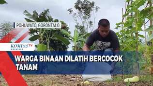 warga-binaan-dilatih-bercocok-tanam-hasil-pertanian-warga-binaan-di-jual-ke-pedagang