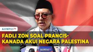 menteri-fadli-zon-soal-prancis-kanada-akui-berdirinya-negara-palestina-memang-sudah-waktunya