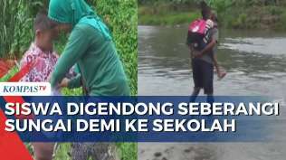 demi-sekolah-siswa-sd-negeri-4-motoboi-digendong-ayah-seberangi-sungai-ongkak