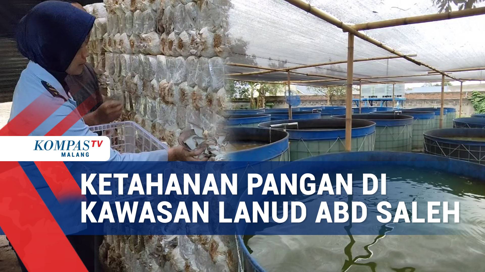 Dukung Ketahanan Pangan, Lanud Abdulrahman Saleh Manfaatkan Lahan di Kawasan Lanud