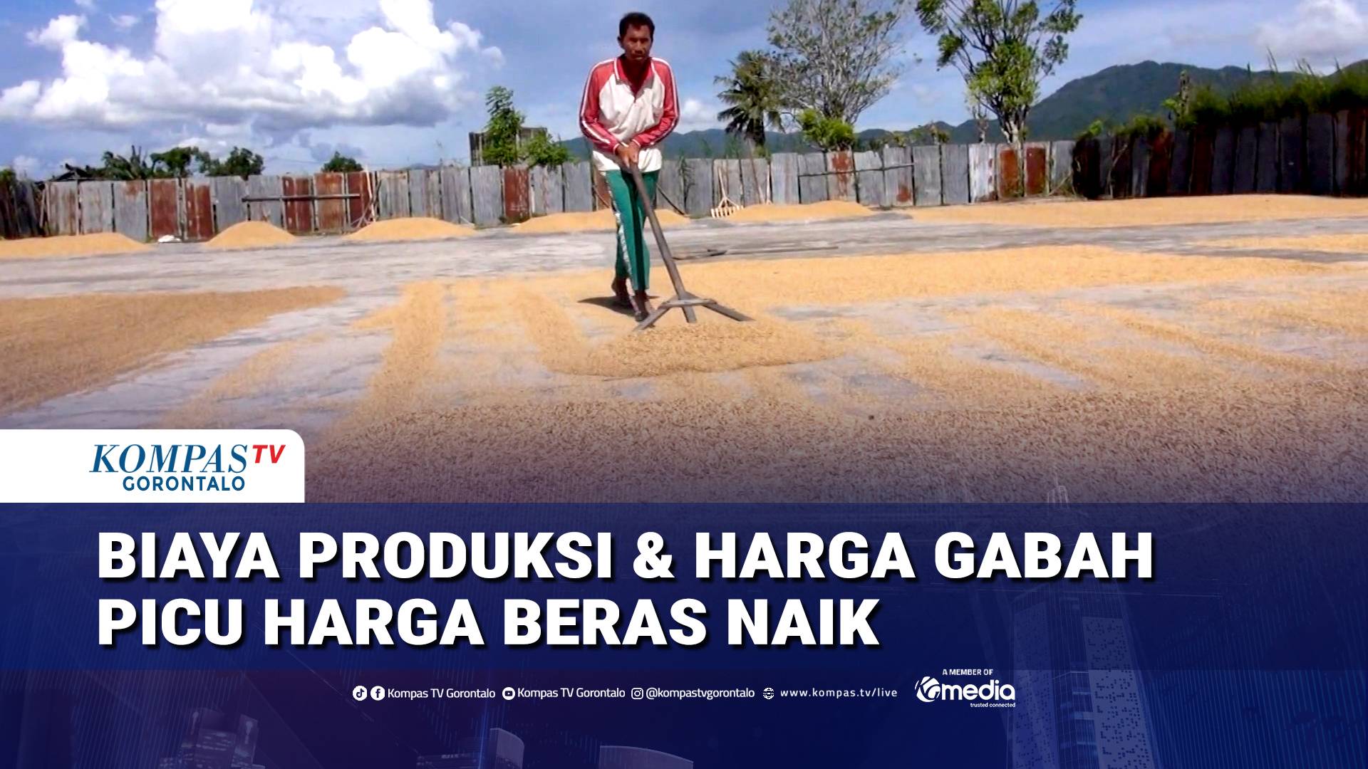 Meningkatnya Biaya Produksi Pertanian Jadi Penyebab Kenaikan Harga Beras di Gorontalo