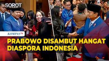Prabowo Disambut Hangat Diaspora Indonesia Saat Tiba Di Gyeongju Korsel
