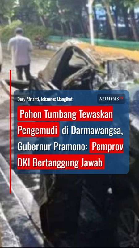 Pohon Tumbang Tewaskan Pengemudi di Darmawangsa, Pramono: Pemprov DKI Bertanggung Jawab