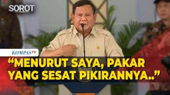 Presiden Prabowo: Ada Pakar Sebut RI Boleh Bergantung Impor Pangan, Konyol! Sesat Pikirannya