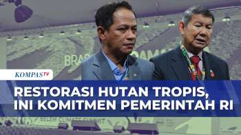 COP 30 Di Brasil, Pemerintah Indonesia Siapkan Rp16 Triliun Untuk Pulihkan Hutan Tropis